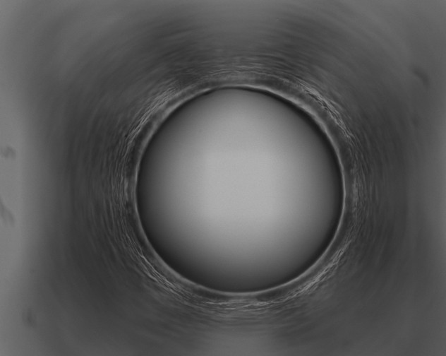 X0000091091449200708060949