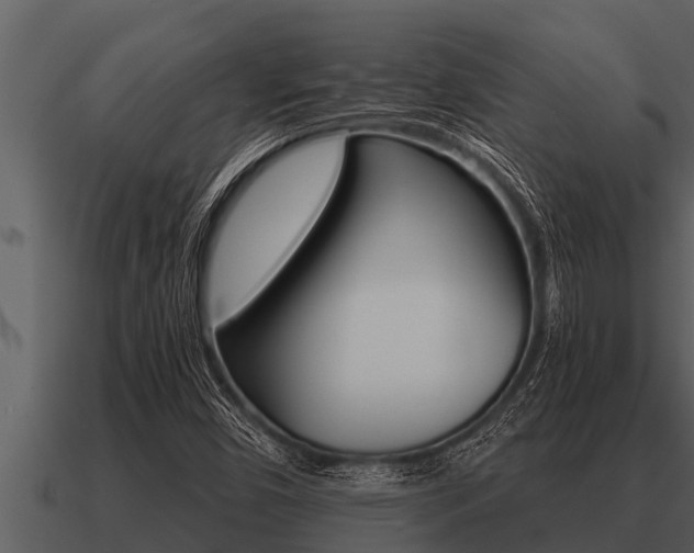 X0000091091450200708060949