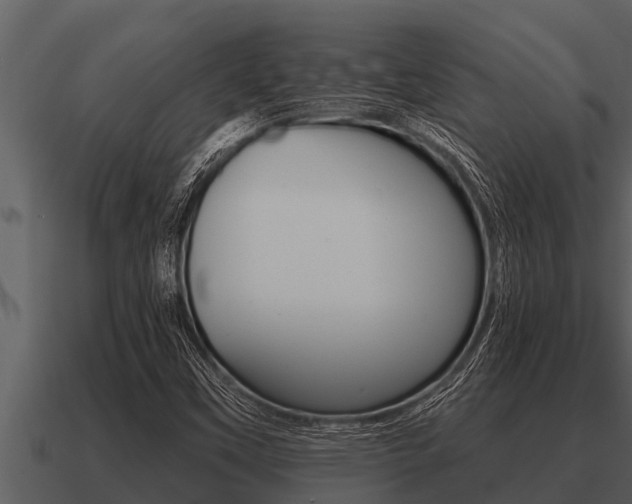 X0000091091451200708060949