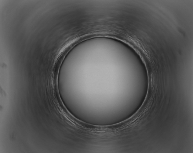 X0000091091452200708060949