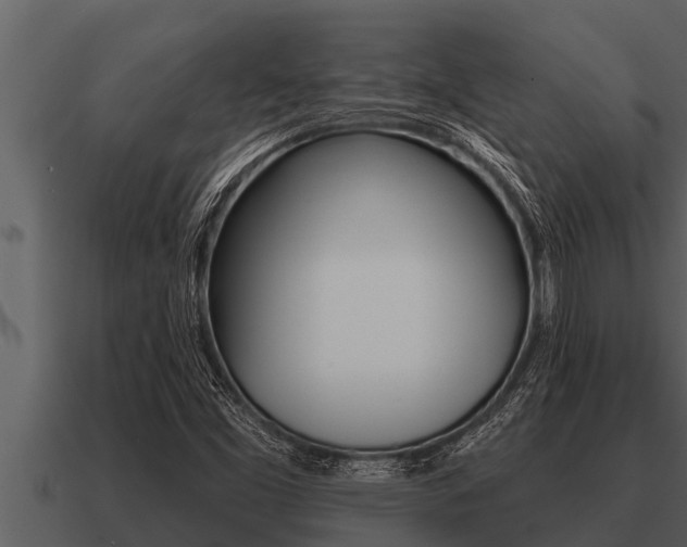 X0000091091453200708060949