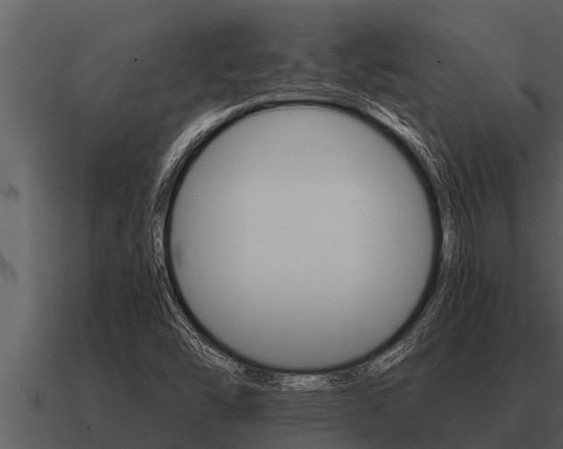 X0000091091454200708060949