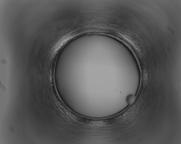 X0000091091455200708060949