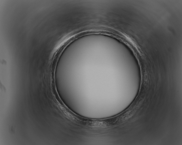 X0000091091456200708060949