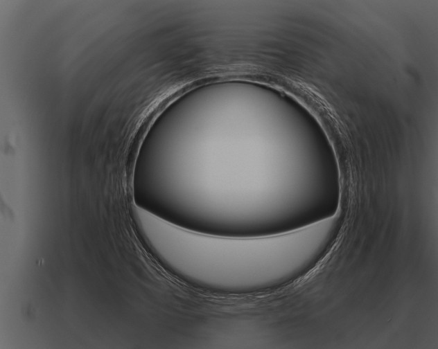 X0000091091457200708060949