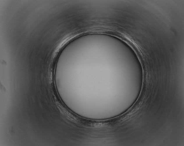 X0000091091459200708060949