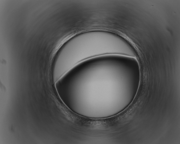 X0000091091461200708060949