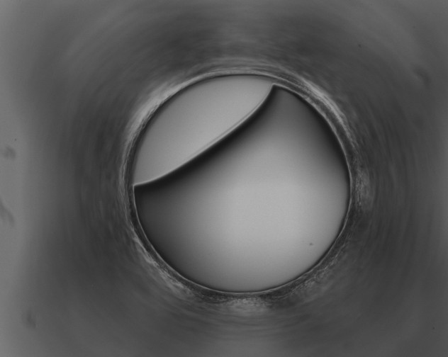 X0000091091464200708060948