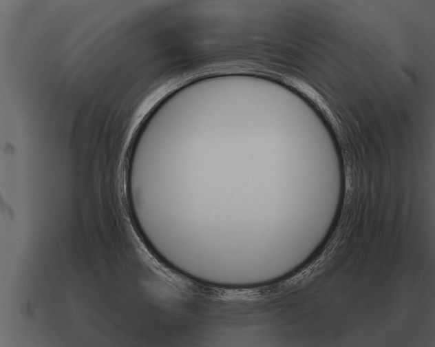 X0000091091466200708060948