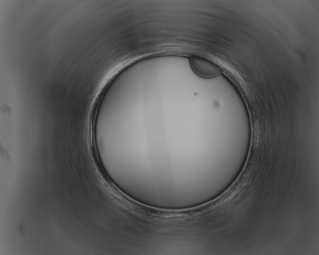 X0000091091467200708060948