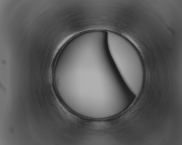 X0000091091468200708060948