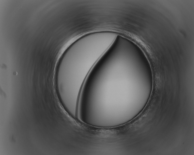 X0000091091469200708060948
