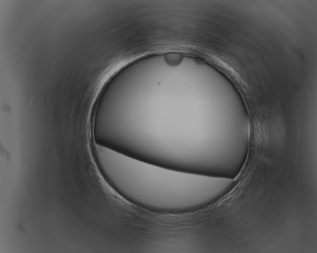 X0000091091471200708060948