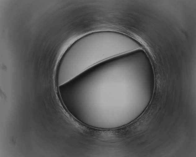 X0000091091472200708060948