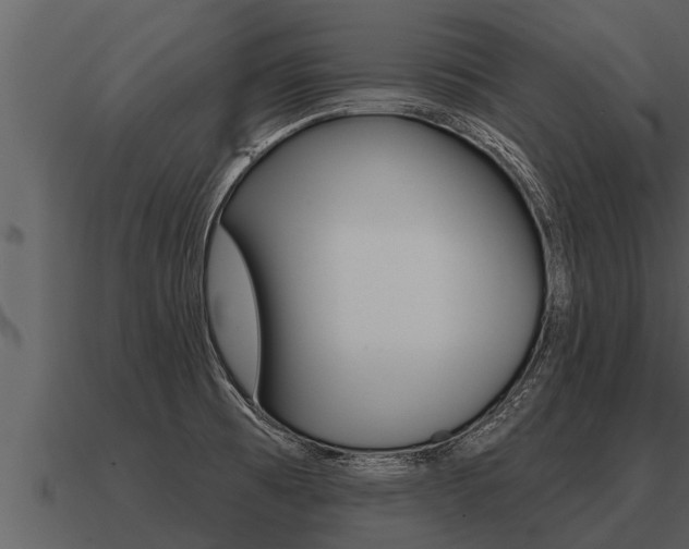 X0000091091473200708060948