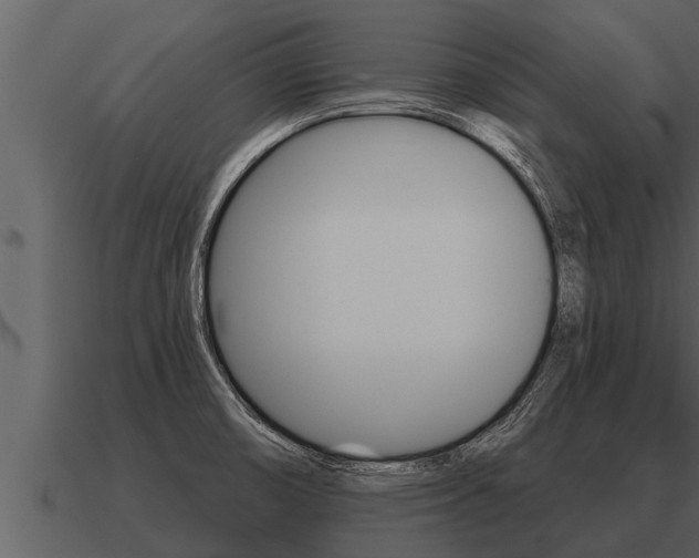 X0000091091474200708060948