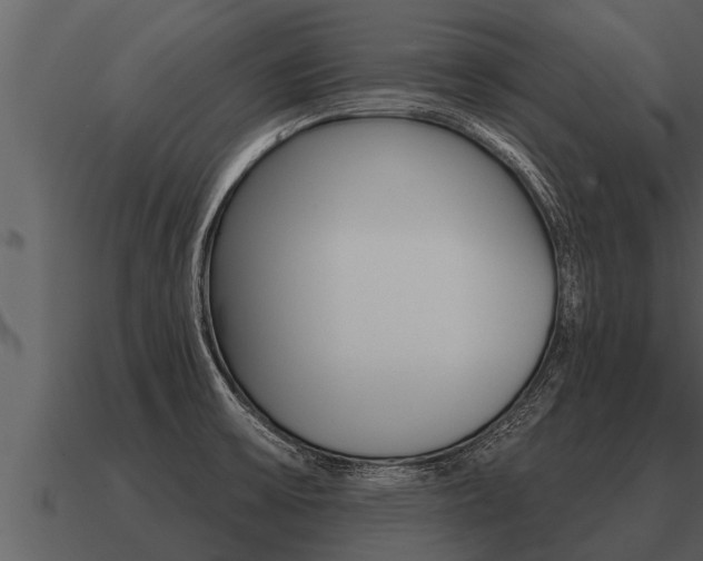 X0000091091475200708060948