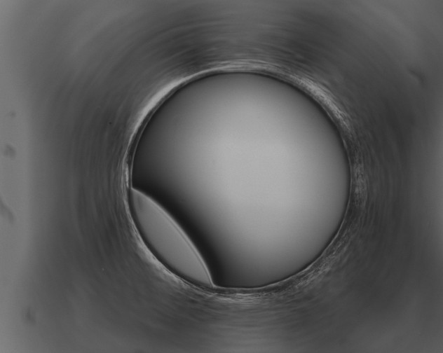 X0000091091476200708060948