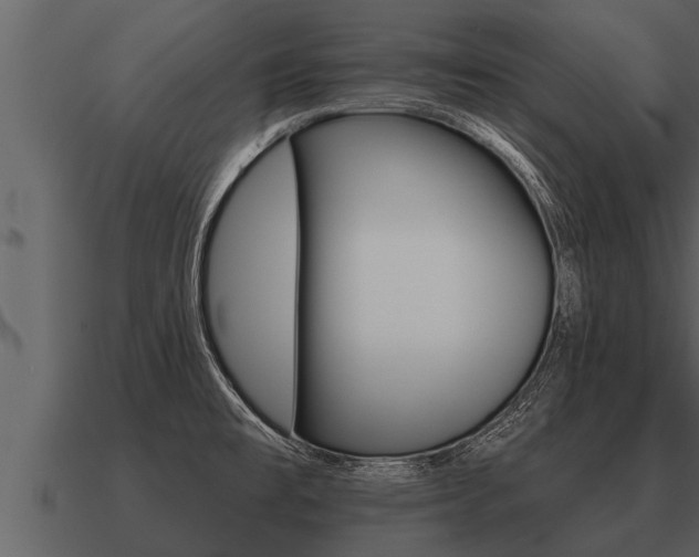 X0000091091477200708060948