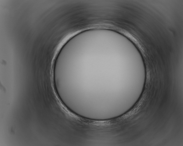 X0000091091478200708060948