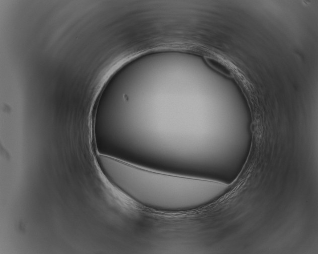 X0000091091479200708060948