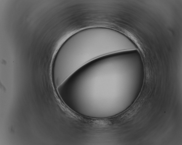 X0000091091480200708060948