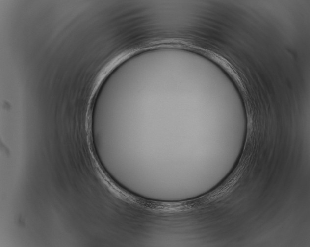 X0000091091482200708060948