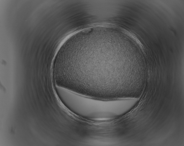 X0000091091483200708060948
