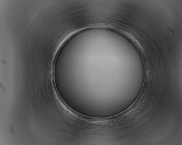 X0000091091484200708060948