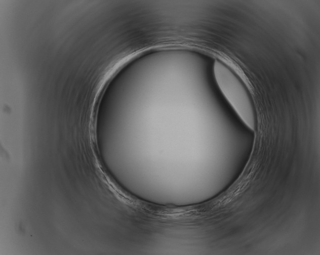 X0000091091485200708060948