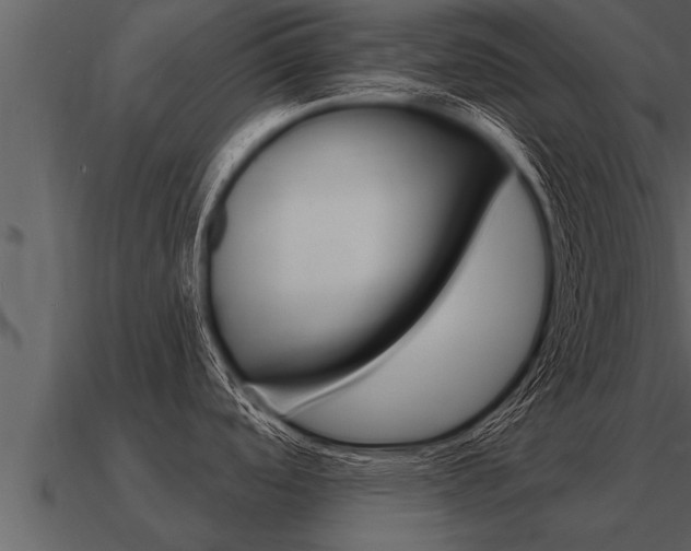 X0000091091488200708060948