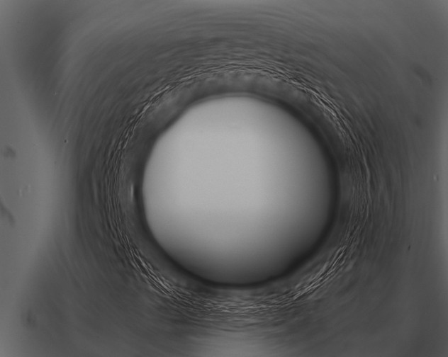 X0000091091489200708060948