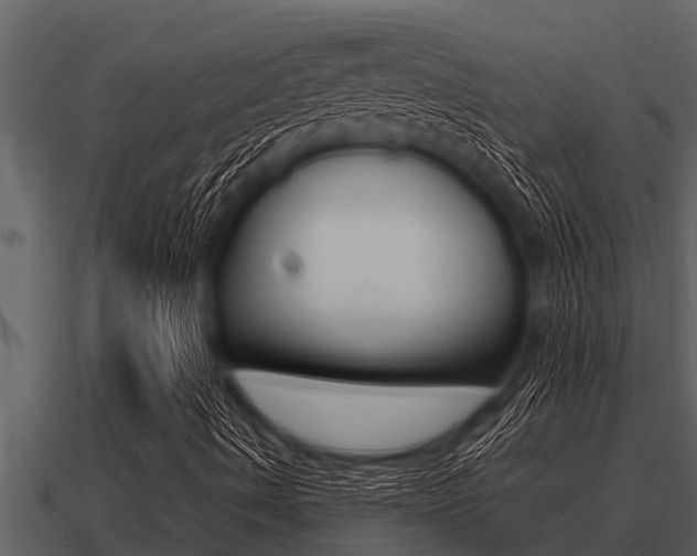 X0000091091490200708060948