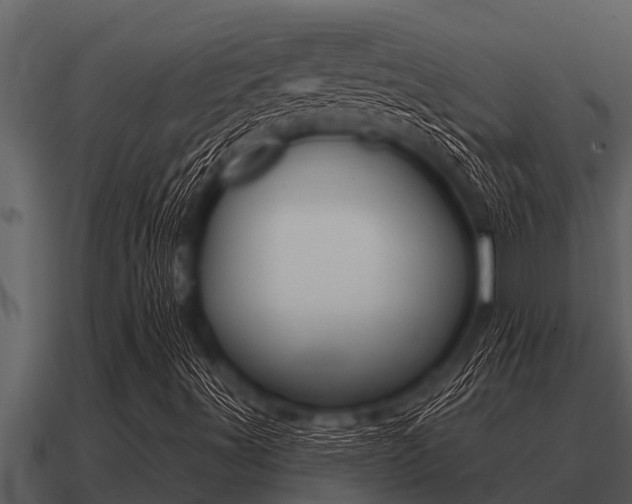 X0000091091491200708060948