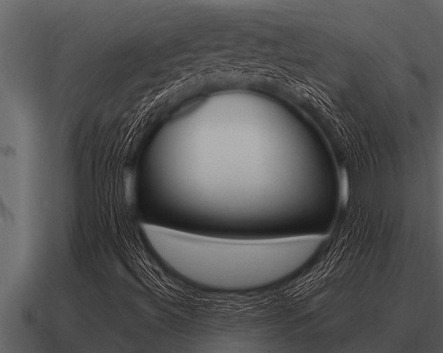 X0000091091492200708060948