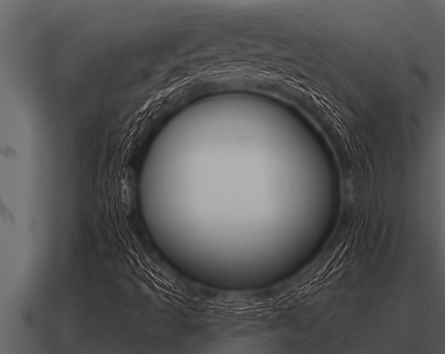 X0000091091493200708060948