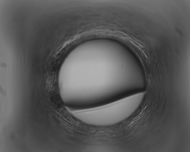 X0000091091494200708060948