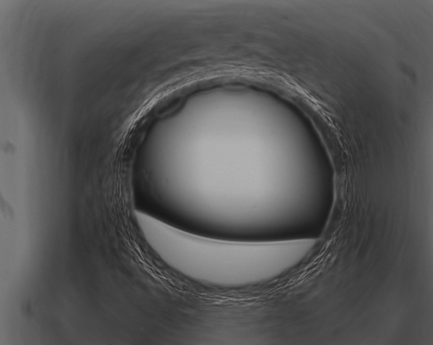 X0000091091496200708060948