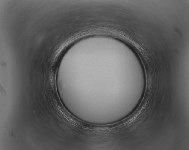 X0000091091498200708060948