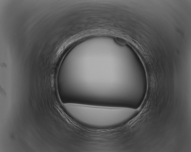 X0000091091499200708060948