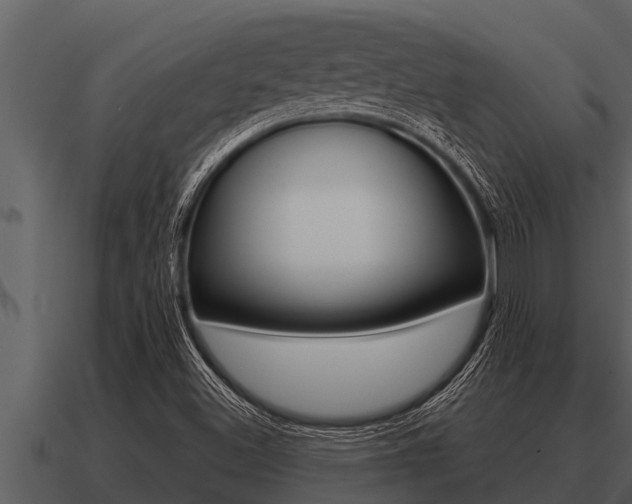 X0000091091500200708060948