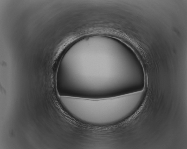 X0000091091501200708060948