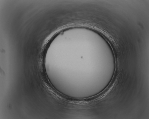 X0000091091502200708060948