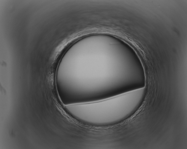 X0000091091503200708060948