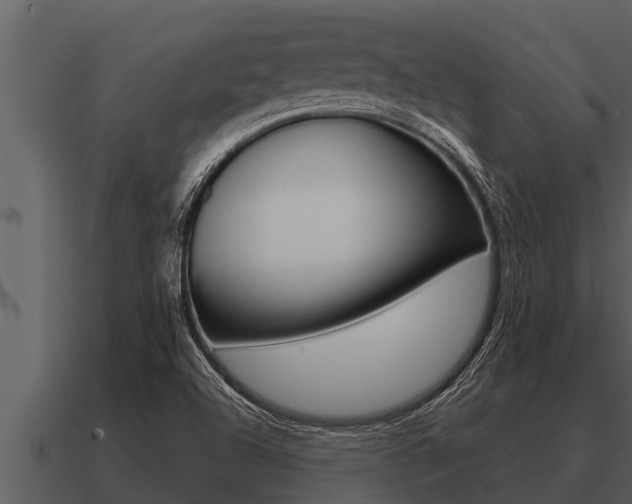 X0000091091504200708060948