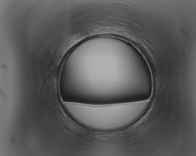 X0000091091505200708060948