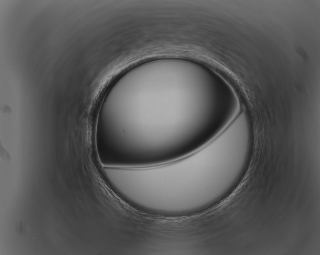 X0000091091506200708060948