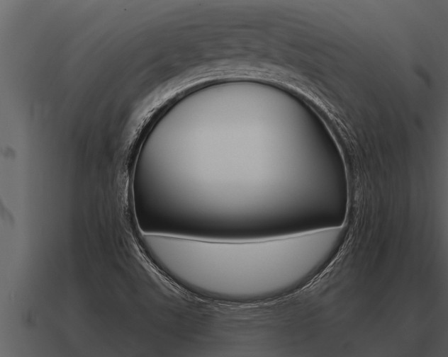 X0000091091507200708060948