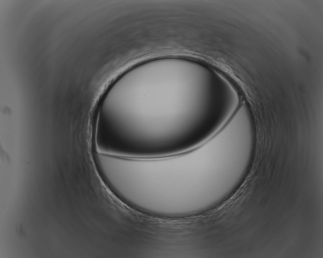 X0000091091508200708060948