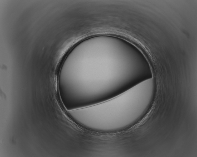 X0000091091509200708060948
